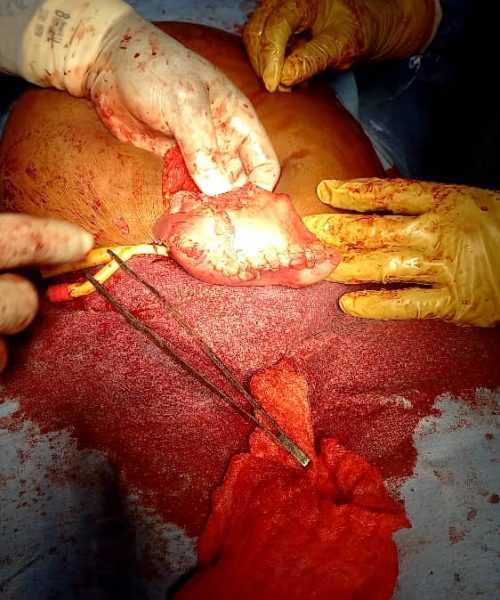 PHOTO-2025-07-27-10-26-25 2