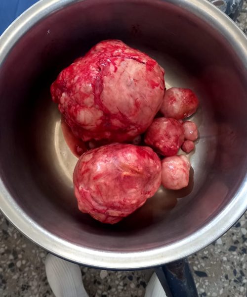 PHOTO-2025-07-27-10-26-25 3