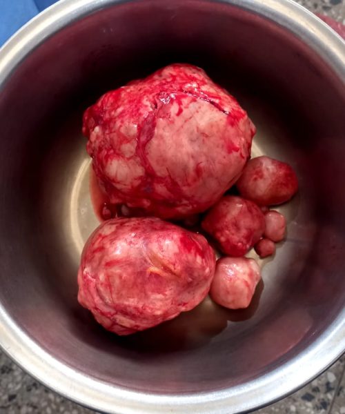 PHOTO-2025-07-27-10-26-25 4