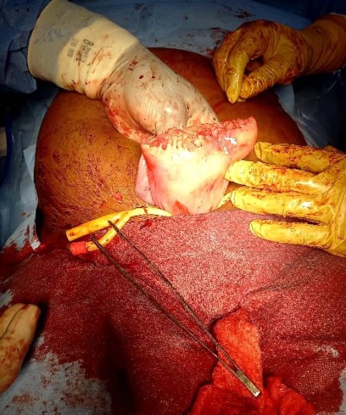 PHOTO-2025-07-27-10-26-25