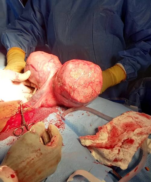 PHOTO-2025-07-27-10-26-26